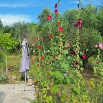 Eva's Place * Lixouri