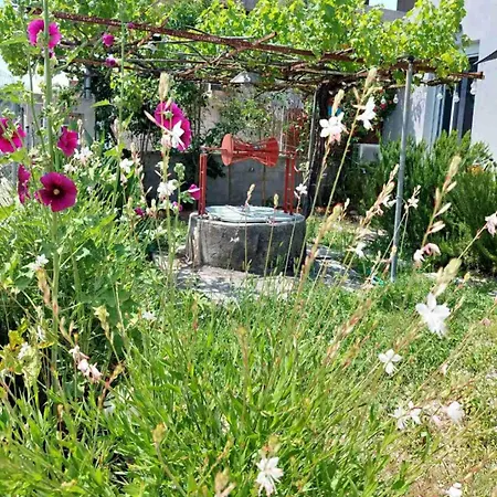Eva's Place Lixouri