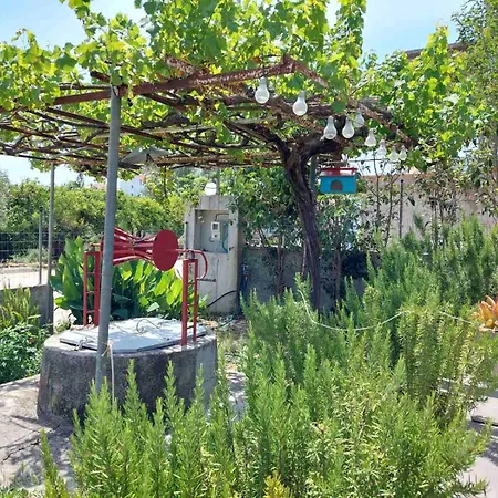 Eva's Place Lixouri