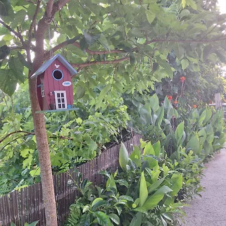 Eva's Place * Ликсури