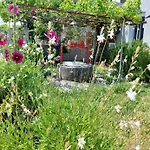 Eva's Place Lixouri