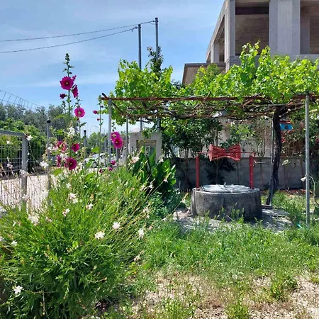 Casa vacanze Eva's Place *