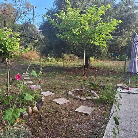 Nyaraló Eva's Place